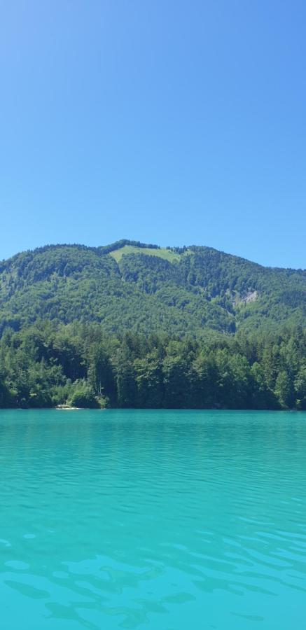 Ferienwohnung Am Fuschlsee Фушл ам Зее Екстериор снимка
